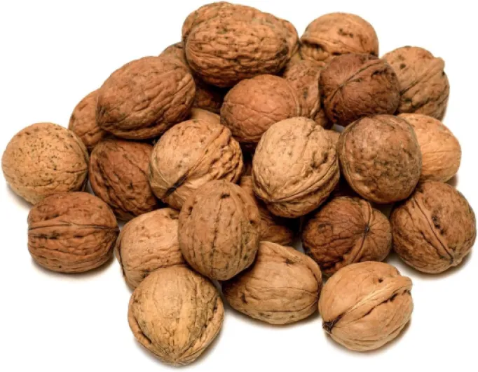 IGART FOOD & WOOD Noix de Grenoble avec Coque Naturelles Non Traitées Polonaises Gros Format Riches en Oméga-3 Saveur Exceptionnelle, 2kg 2 kg