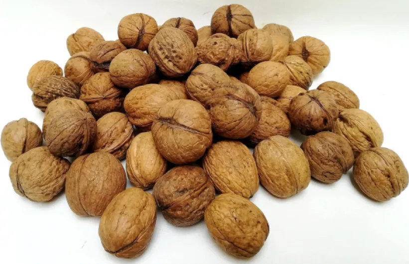 81GRdGHZsFL._AC_SL1500_