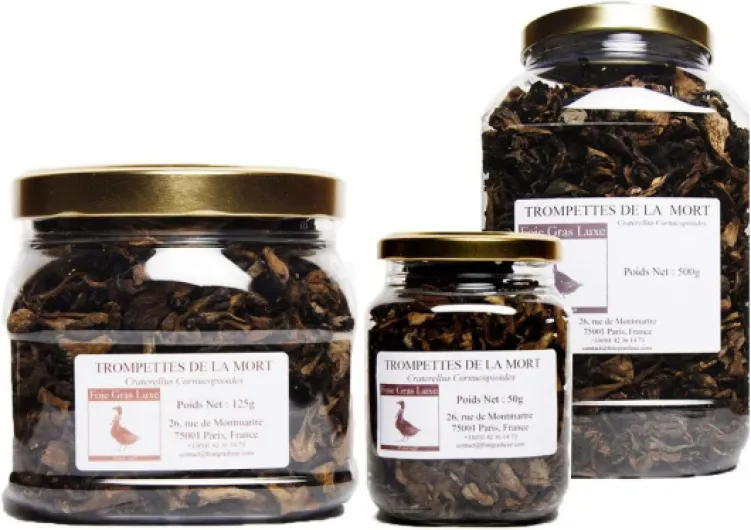 61kRqaOhutL._AC_SL1000_