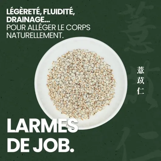 61UmGTwu04L._AC_SL1000_