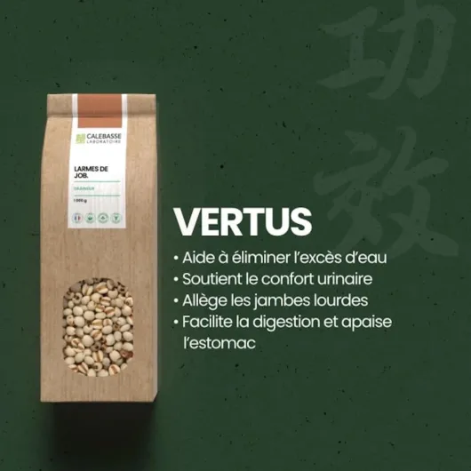 51 oZFLPceL._AC_SL1000_