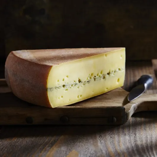 61ob0vSxaPL._AC_SL1024_