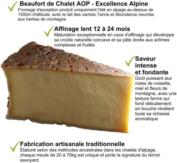 61rTXGJyKWL._AC_SL1024_