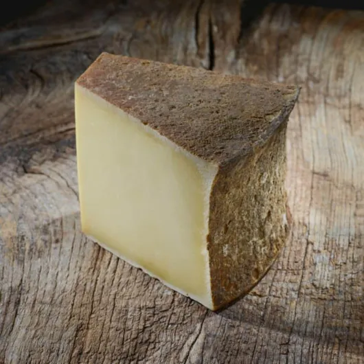 61aRtVbsJML._AC_SL1024_