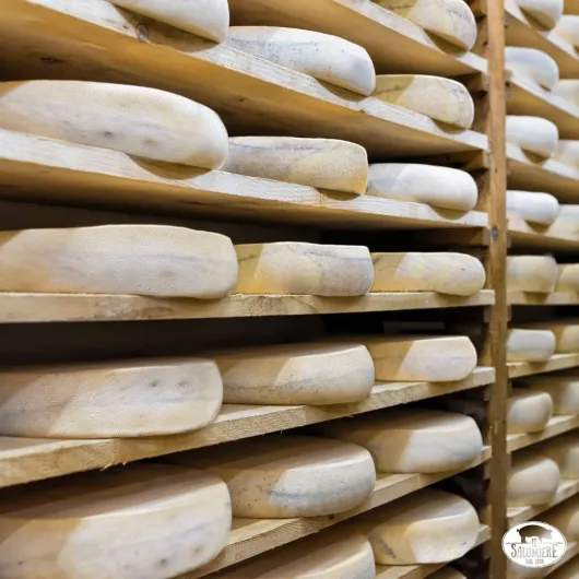 61oRn3SNwwL._AC_SL1080_