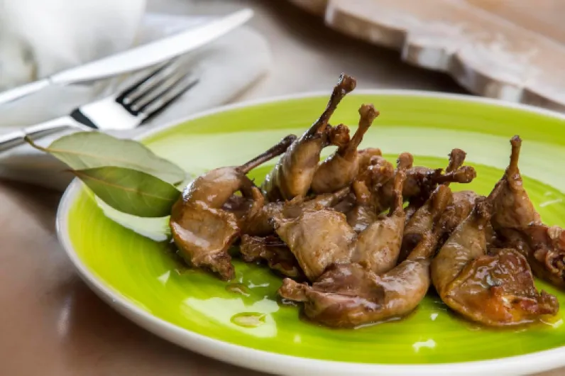 71KjaQs6C4L._AC_SL1475_