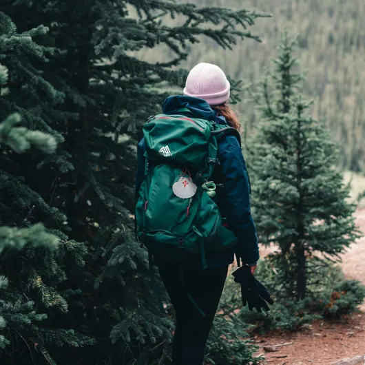 81WSHmKEZ1L._AC_SL1500_