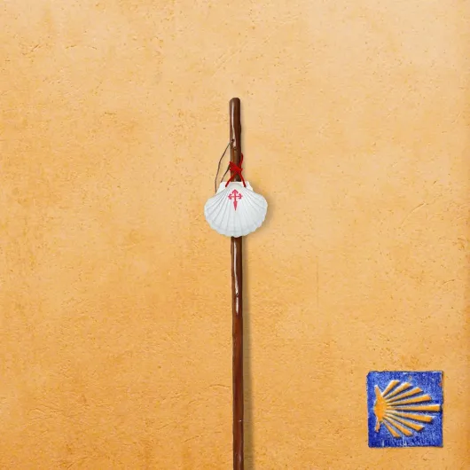 81bZIbkYlKL._AC_SL1500_