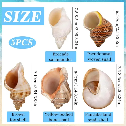 71S dUo0WlL._AC_SL1500_