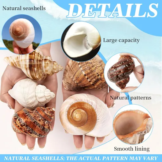 81FJOVn7u5L._AC_SL1500_