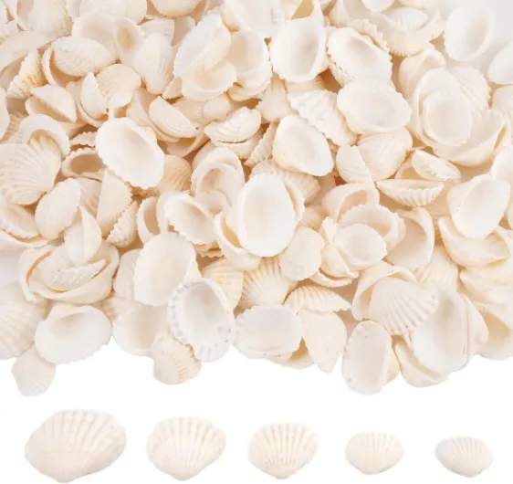 Lot de 150 Coquillage Decoration Blanches, 1.5-3 Cm pour Coquillages Naturels, Coquilles Saint Jacques, Petits Coquillages pour Décoration De Bricolage, Aquariums, Vases, Fabrication De Bijoux