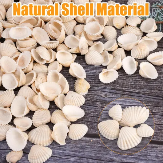 81XAbRYdcEL._AC_SL1500_