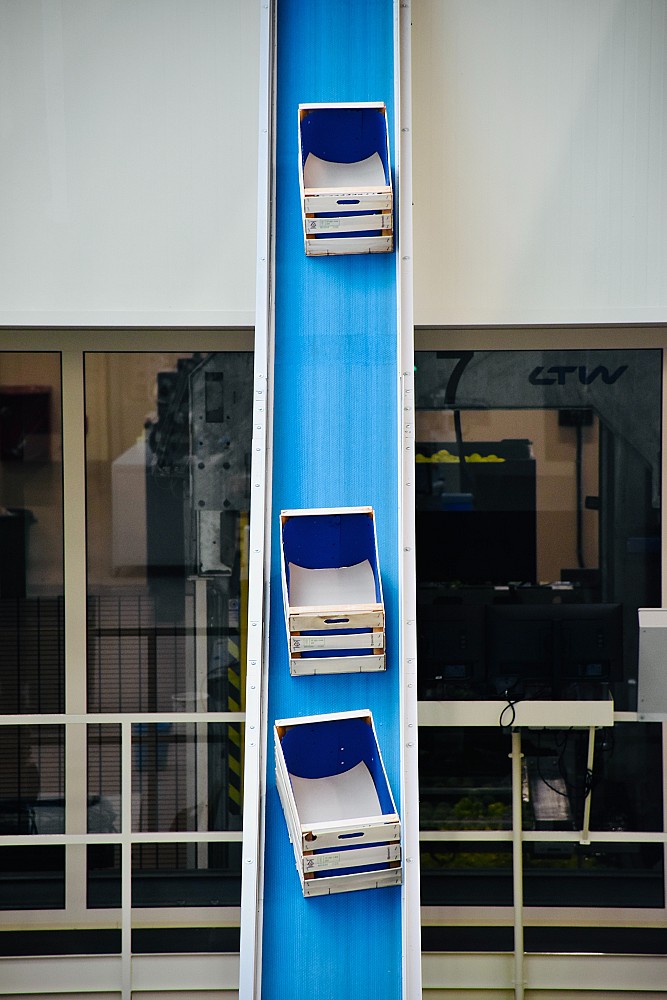 Comprendre le prix de la blanquette de veau : enjeux, coûts et qualité dans la restauration