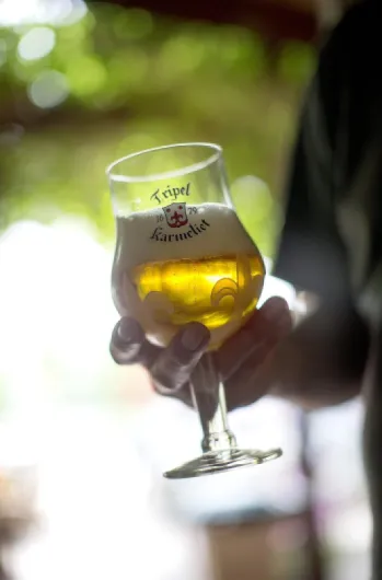 81T05PR5JNS._AC_SL1500_