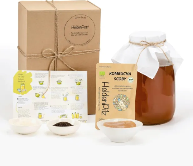 HeldenPilz® - Organic Kombucha Scoby - Thé en croissance - Skoby + liquide de racine + cadeau - Fabrication jusqu'à 6 litres - Ingrédients 100 % naturels - Emballage bio durable et sans plastique Kombucha Set Petit