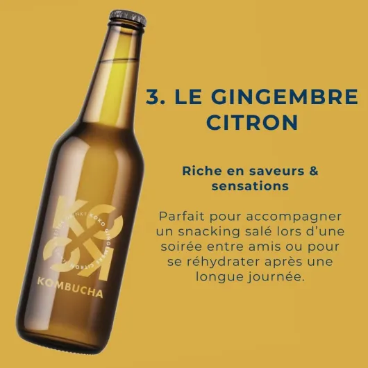 KOKO Kombucha - 12 bouteilles de 33cl (Gingembre-Citron)