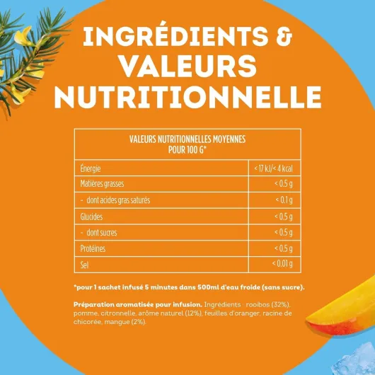 , Infuse à Froid, Infusion à Froid, Goût Mangue et Rooibos, Idéale pour le Thé Glacé, Ingrédients d'Origine 100% Naturelle, 6x15 Sachets Pyramid