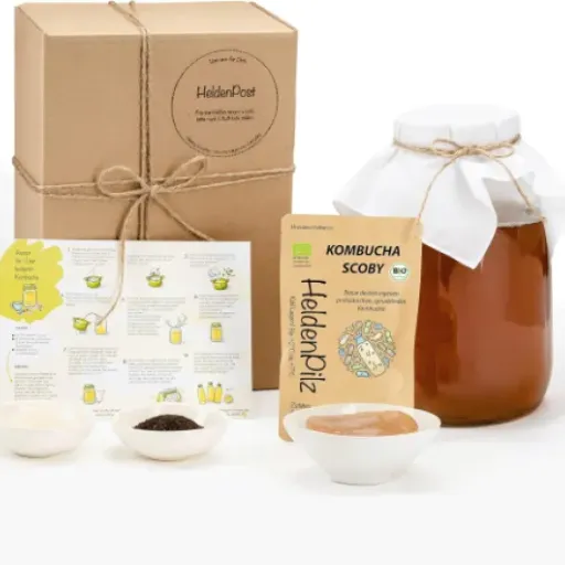 Test HeldenPilz Kombucha Set Petit : un kit de départ simple pour se lancer sans se prendre la tête