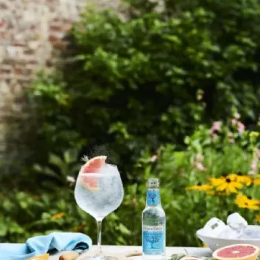 Test Fever Tree Mediterranean Tonic Water : le tonic qui fait le taf mais pique au portefeuille