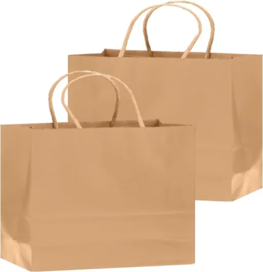 Lot de 100 sacs cadeaux en papier marron avec anses - 30,5 x 10 x 25,4 cm - Sacs cadeaux de fête pour de nombreuses utilisations marron Lot de 100