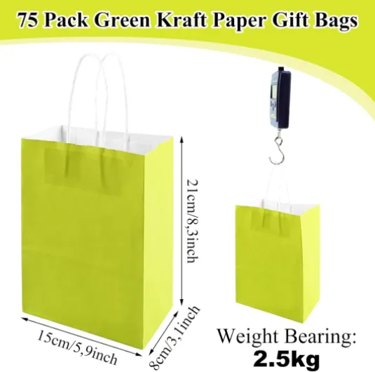 75pcs Sac Papier Kraft Poignée, 15 x 8 x 21 cm Sac Papier Vert, Sachet Papier Emballage Cadeau pour Noël, Fête de Mère, Pâque, Mariage, Anniversaire