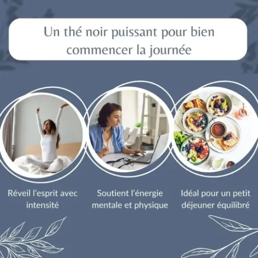Test Thé Noir Assam GBOP Bio Obvious Tea : un gros sachet costaud pour les amateurs de thé bien corsé