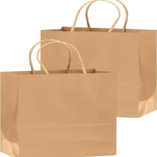Test Gcardist sacs cadeaux kraft (lot de 100) : les sacs marron qui font le job sans chichi
