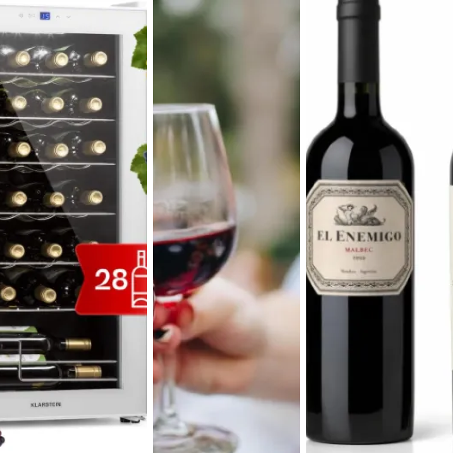 Classement des 4 meilleurs vins rouges (2026)