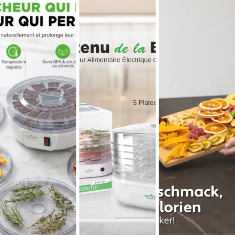 Top 5 des meilleurs déshydrateurs alimentaires (2026)