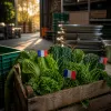 Centrales d'achat en restauration collective : comment les appels d'offres intègrent la contrainte 80% français